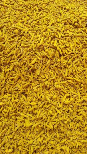 Dry Turmeric Finger, Color : Yellow