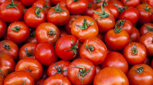 Organic Fresh Tomato, Color : Red