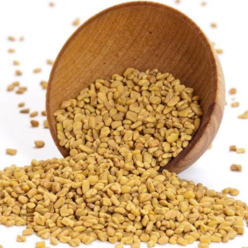 Fenugreek Seeds, Packaging Size : 10kg