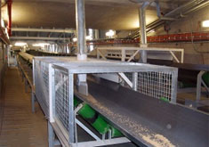 Trough Belt Conveyor