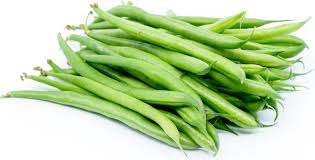 Organic Fresh French Beans, Packaging Size : 20kg