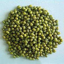 Organic Green Moong Dal, Style : Dried