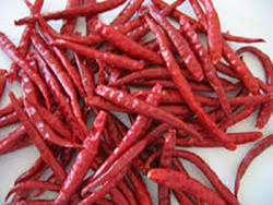 Organic Sannam Dry Red Chilli, Packaging Type : PP Bag