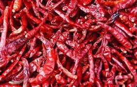 Semi Wrinkled Dry Red Chilli, Packaging Type : PP Bag