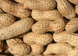 Natural Shelled Groundnuts