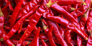 Organic Teja Dry Red Chilli, Packaging Type : PP Bag