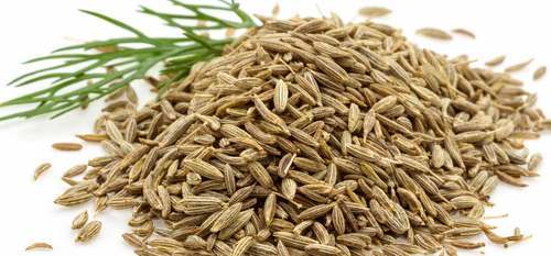 Organic Cumin Seeds