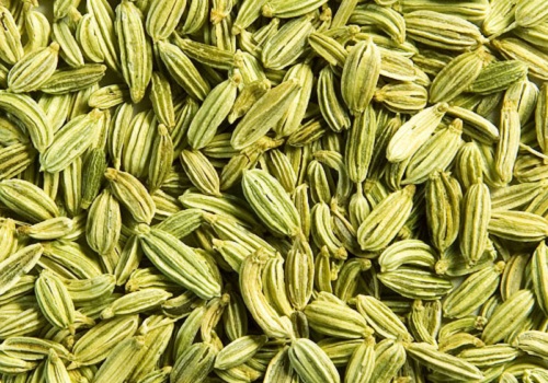 Organic Fennel Seeds, Color : Green