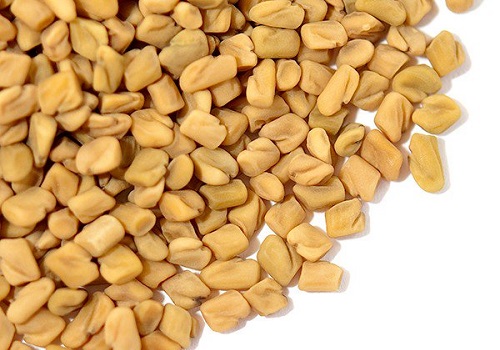 Organic Fenugreek Seeds