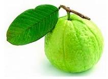 Organic Fresh Guava