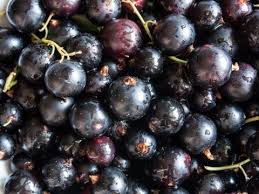 Fresh Blackcurrant