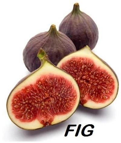 Fresh Figs