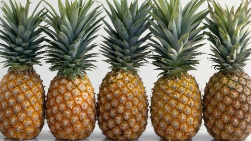 Fresh Pineapple, Packaging Type : Corrugated Paper Box