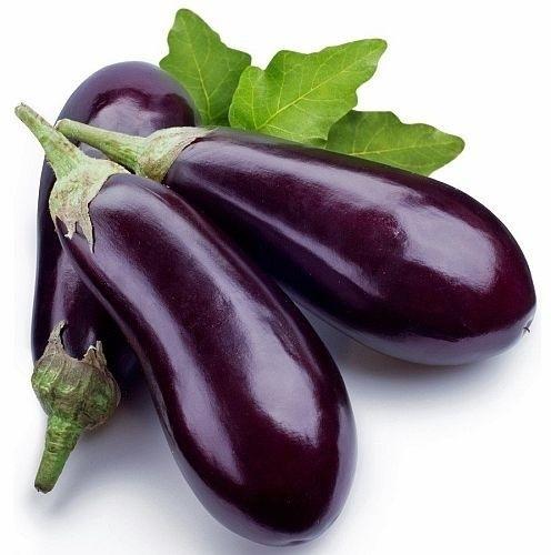 Organic Fresh Brinjal