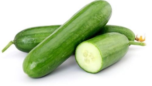 Organic Fresh Cucumber,fresh Cucumber