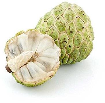Organic Fresh Custard Apple