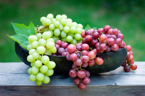 Organic Fresh Grapes, Packaging Type : Net Bag, Plastic Box