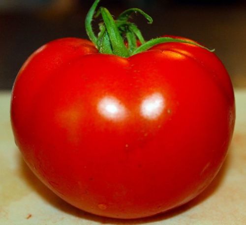 Organic Fresh Tomato, For High In Protein