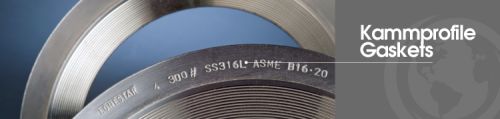 Kammprofile Gaskets Sealing and Gaskets