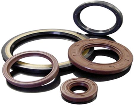 Oil Seal