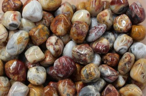 Gemstone Crazy Lace Agate Healing Tumbled Stone