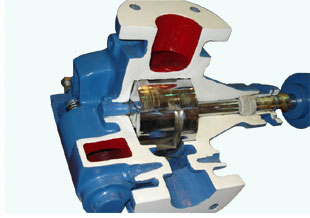 Shuttle Block Pump