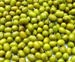 Organic Green Mung