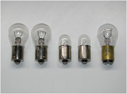 Miniature Bulbs