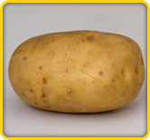 Pukhraj Potato