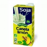 Soya Cinnamon And Lemon Drink