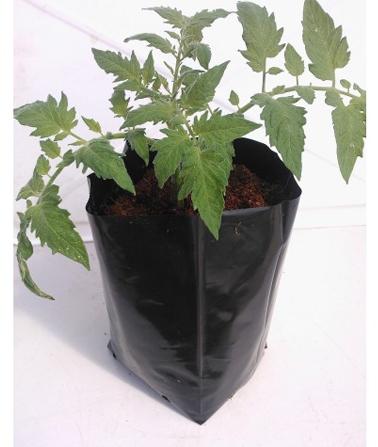 Planter Bags