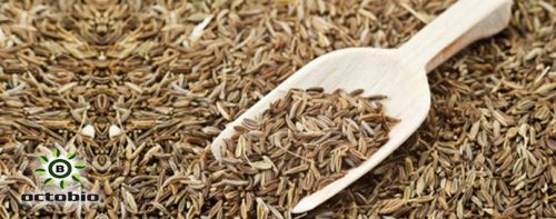 Cumin Seed Oil