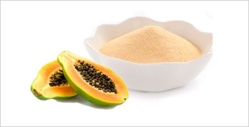 Papaya Extract Powder