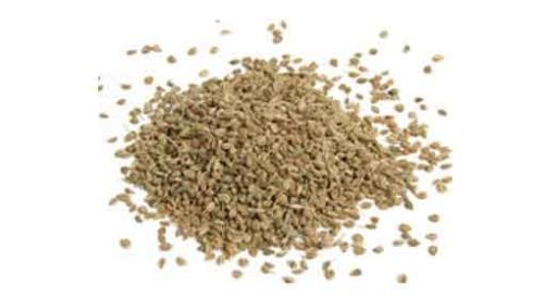 Ajwain Seed