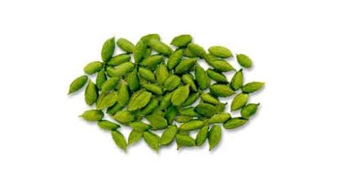 Green Cardamom