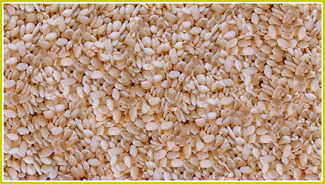Sesame seeds, Container Size : 20 Feet Container