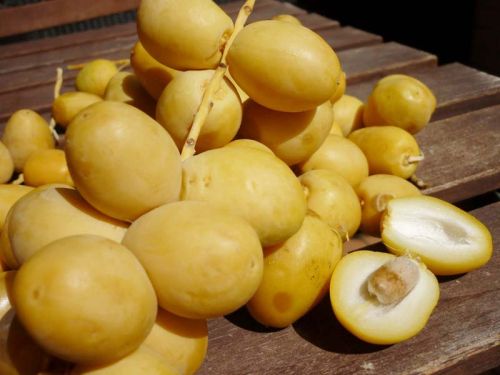 Natural Fresh Dates, Color : Brown