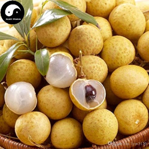 Fresh Longan, Color : Yellow