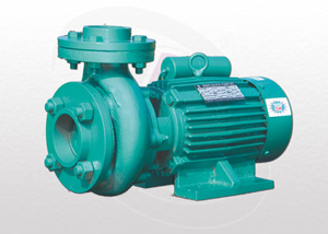 Agriculture Monoblock Pumps