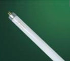 Fluorescent Lamp