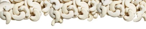 Cashew Nuts