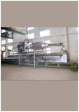 On Line Conveyor Ovens