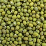 Natural Green Mung, Packaging Type : Bag
