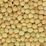 Lentils, Cultivation Type : Natural