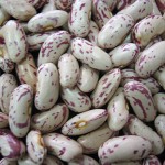 Light Speckled Kidney Beans