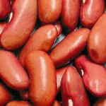 Red Kidney Beans