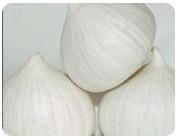 Solo Garlic