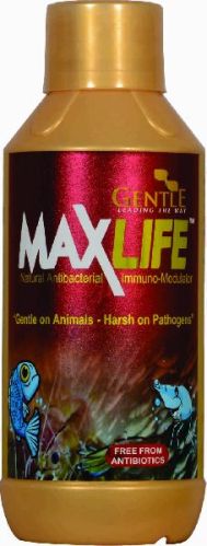 MaxLife Powder Feed Supplement