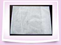 Disposable Pillow Cover