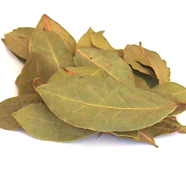 Bay Leaf